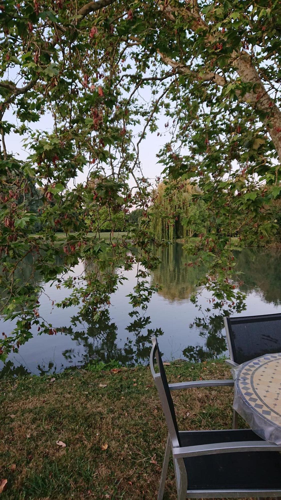 Moulin Du Fief Gentil Bed & Breakfast Blere Exterior foto
